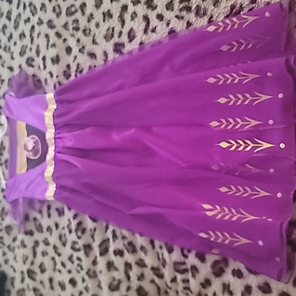 Anna Frozen Dress